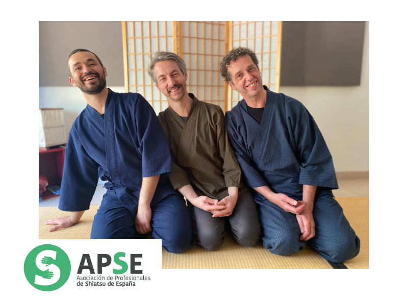 Odo Shiatsu - Nicolas Poloczek, Fabian Bastianelli, Stéphane Cuypers - Entretien avec l'APSE bis